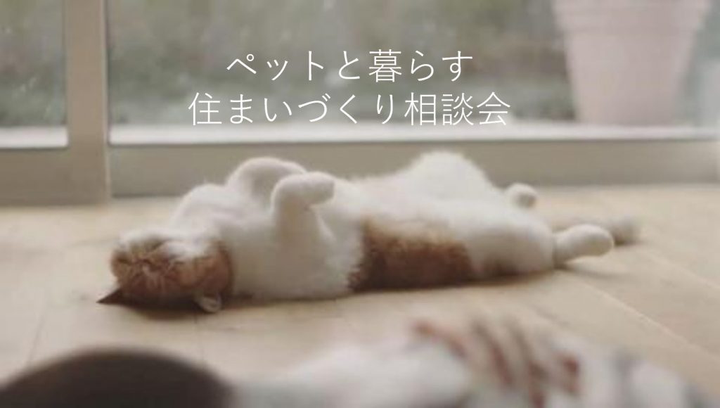 『ペットとの快適な暮らし』お家づくり相談会開催中!!