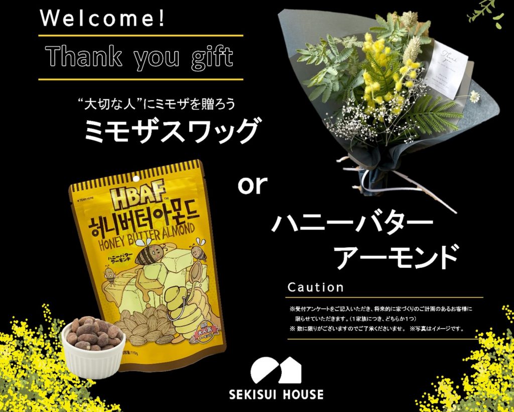 【来場特典あり】スプリングフェア開催中！！