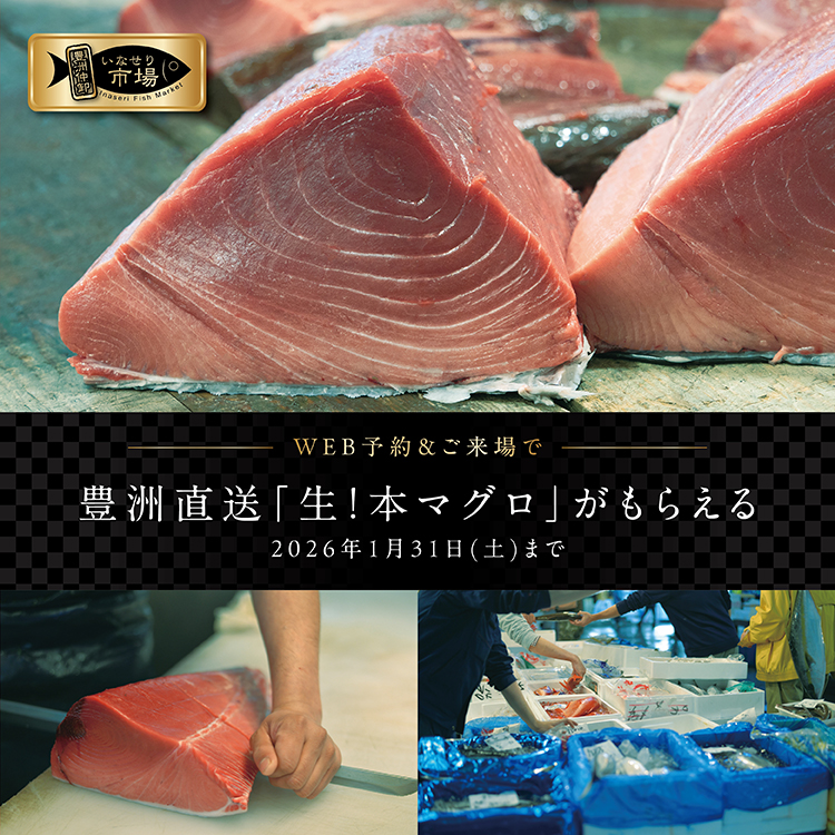 【来場予約で豊洲直送!本マグロ】プレゼント🎁