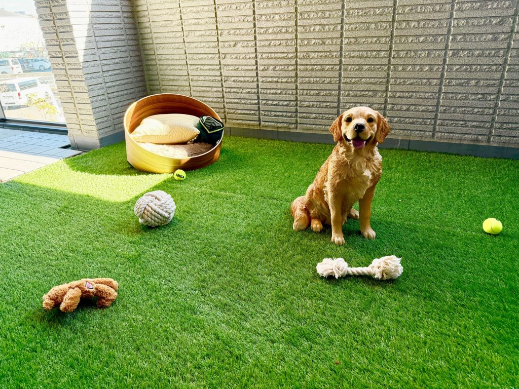 【ドッグランのある暮らし】  当日電話予約も大歓迎！！！！    ご来場予約でAmazonギフトカード5,000円プレゼント！