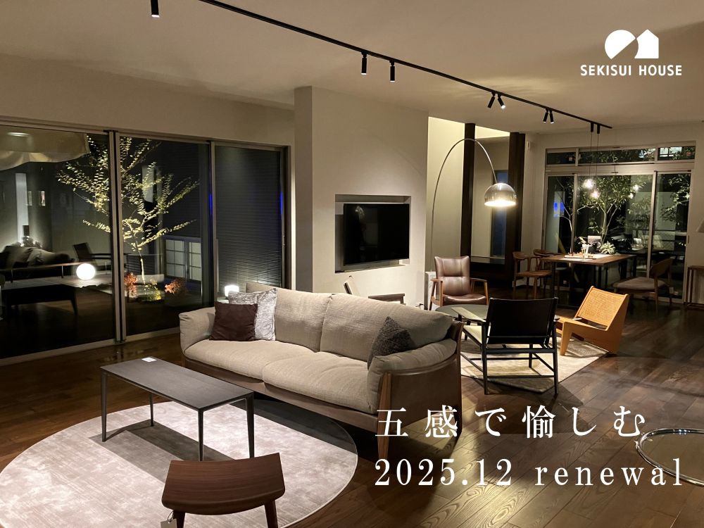 見たことない方必見。フルリノベで再び誕生