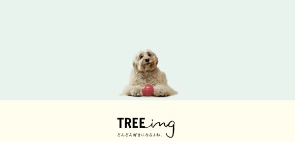 ◤WEB来場予約で豪華プレゼント◢